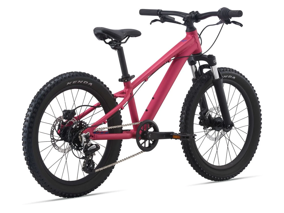 Liv Stp 20 Fs 2022 5 Liv Stp 20 Fs 2022 - Image 3