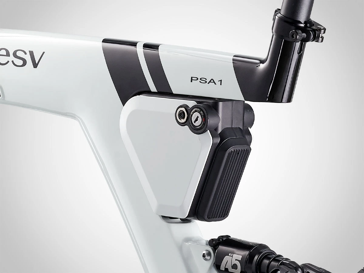 BESV Psa 1 7 BESV Psa 1 - Image 5