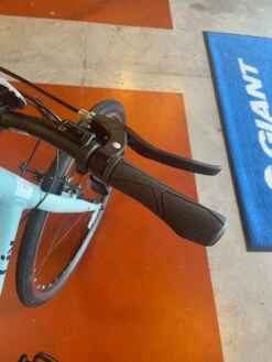 We Ship! Liv Alight 3 2021 -Cannondale Store AeGETzXAP070FvKoA3p1O1bA8