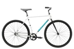 Pure Cycles Coaster Reeves 50" 2022