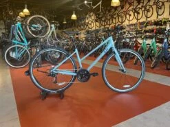 We Ship! Liv Alight 3 2021