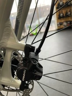 Fuji Absolute 1.7 Cement 2022 -Cannondale Store RDQCQ65qioEubQid zT p 0xw