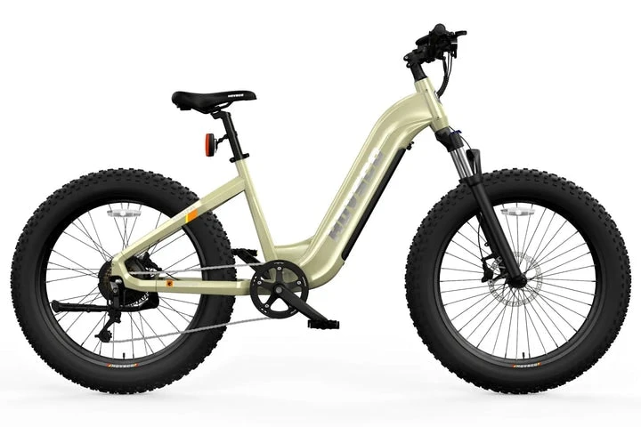Other HOVSCO™ HovAlpha 26" Step-Thru Fat Ebike 2022 3 Other HOVSCO™ HovAlpha 26" Step-Thru Fat Ebike 2022