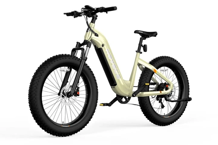 Other HOVSCO™ HovAlpha 26" Step-Thru Fat Ebike 2022 5 Other HOVSCO™ HovAlpha 26" Step-Thru Fat Ebike 2022 - Image 3