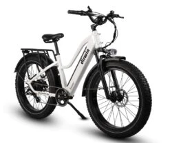 Dirwin Pioneer Step-thru Fat Tire Electric Bike -Cannondale Store kzVgwlYR8SFiAFhwQHc5oBp5Y