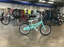 Fuji ROOKIE 20 " Seafoam Green 2021